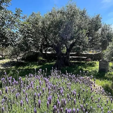 Casa vacanze Romantic Stone House And Yard Near Stunning