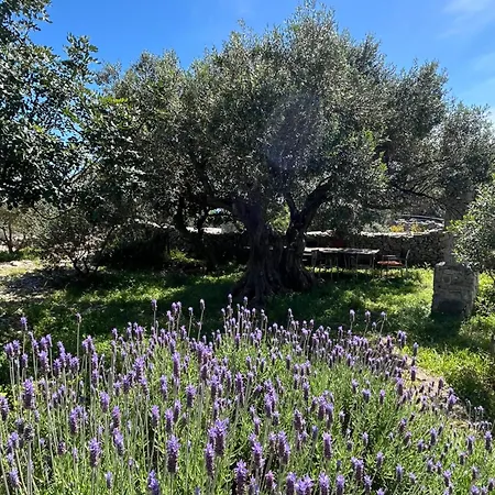 Casa vacanze Romantic Stone House And Yard Near Stunning *